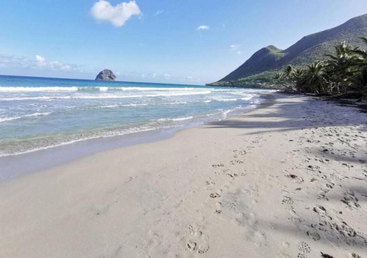 Villa Cocotier A 50 Metres De La Plage Le Diamant Zewnętrze zdjęcie